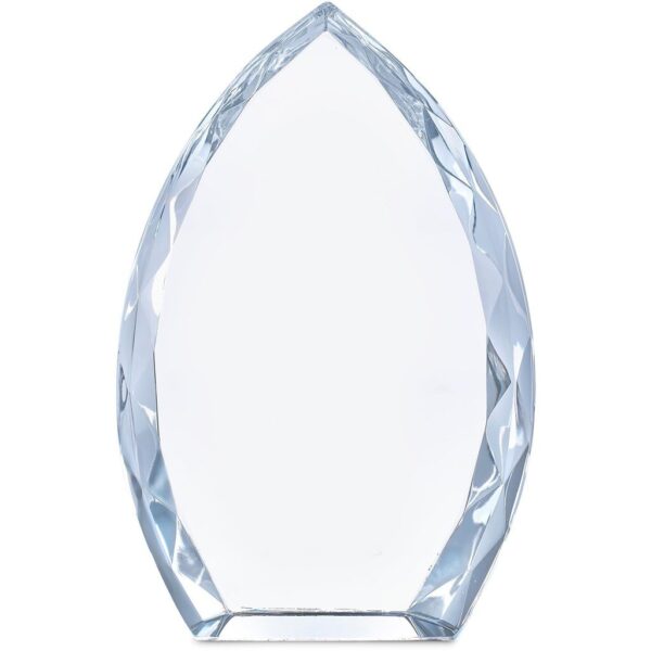 Altitude Trident Award - Image 9