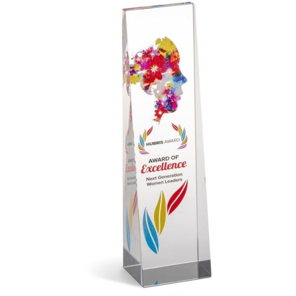 Altitude Hubris Award - Image 3