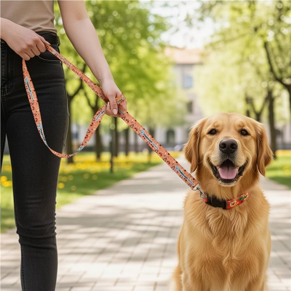 Hoppla Buddy Polyester Dog Leash - Image 2